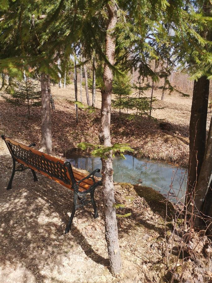 Medve Dome - Luxury Camping In The Middle Of Nature Hotel Vlahita Buitenkant foto