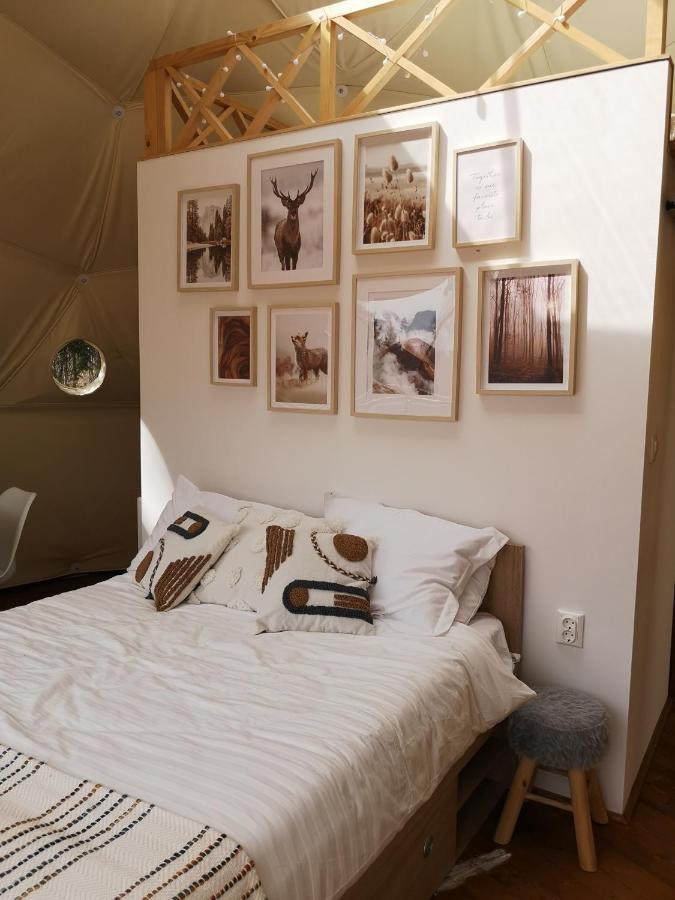 Medve Dome - Luxury Camping In The Middle Of Nature Hotel Vlahita Buitenkant foto