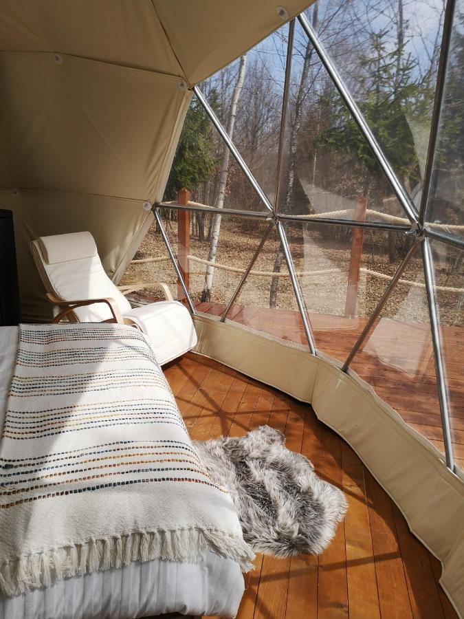Medve Dome - Luxury Camping In The Middle Of Nature Hotel Vlahita Buitenkant foto