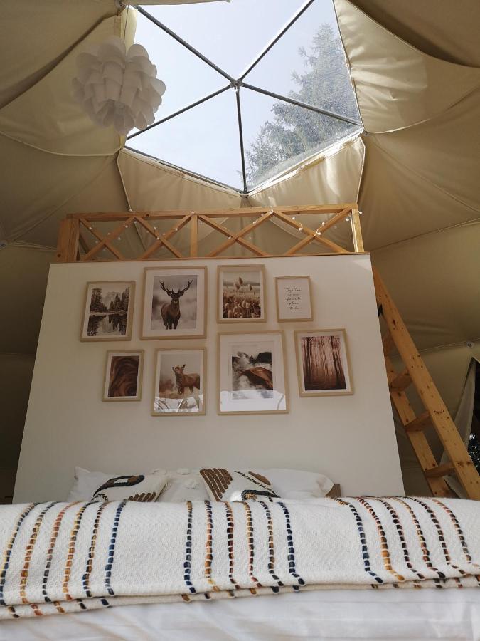 Medve Dome - Luxury Camping In The Middle Of Nature Hotel Vlahita Buitenkant foto